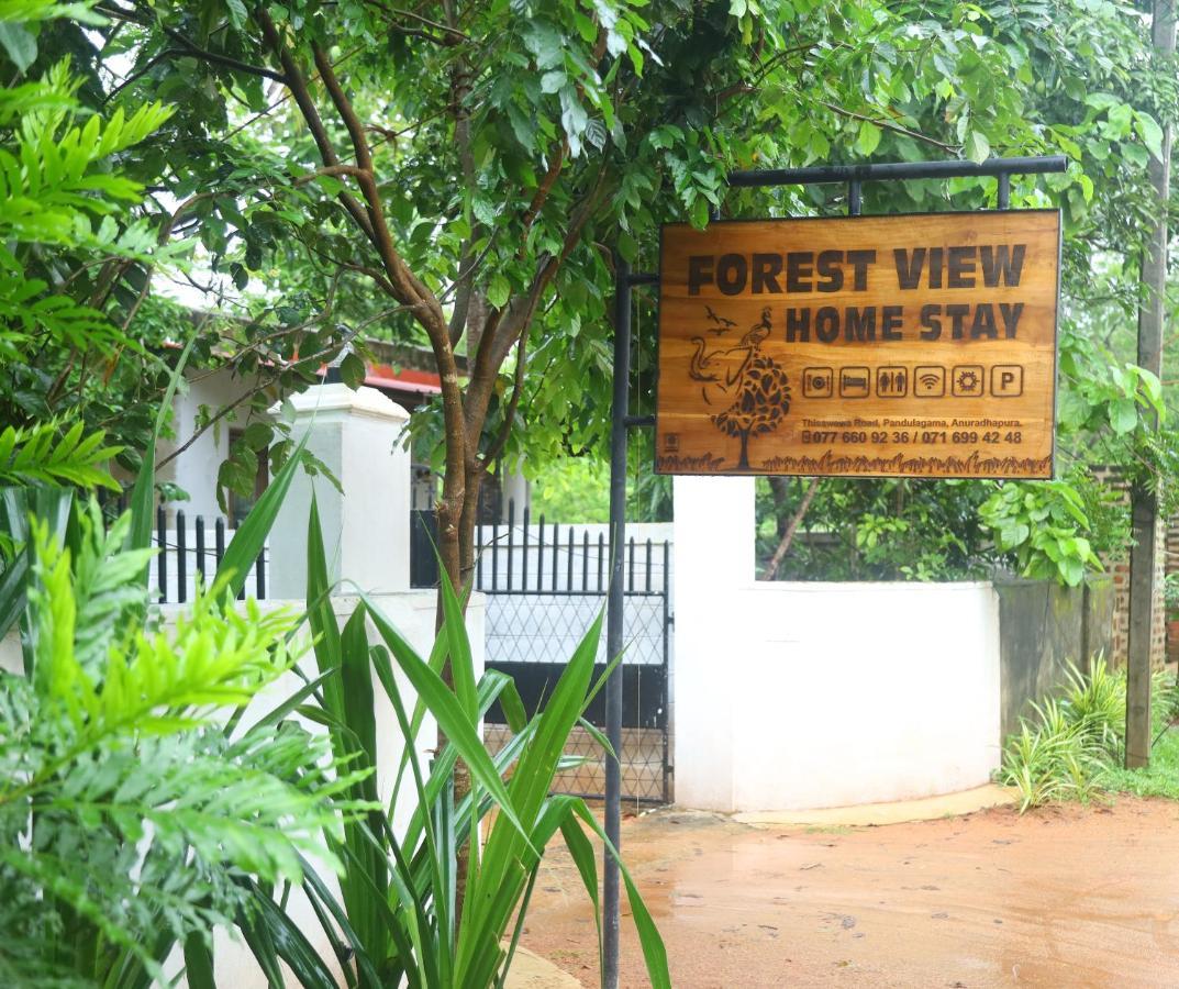Forest View Home Stay Anuradhapura Kültér fotó